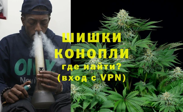 ешки Бронницы