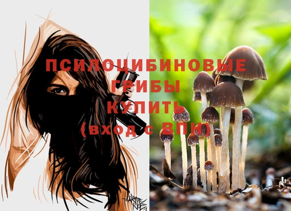 соль ск Богданович