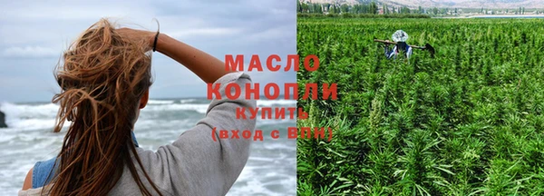 спиды Бородино