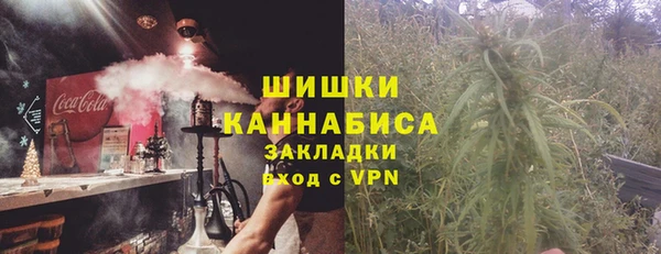 ешки Бронницы