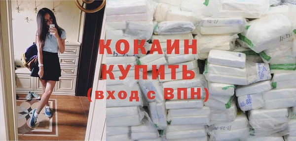шишки Балахна