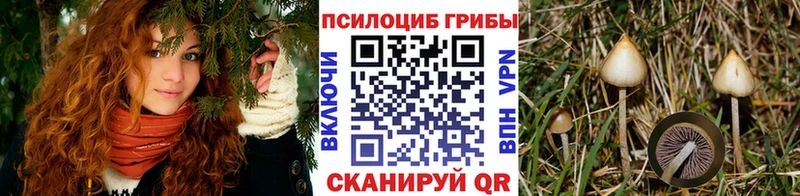 Галлюциногенные грибы MAGIC MUSHROOMS  где найти наркотики  Демидов 